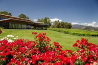 Book Yarra Glen Accommodation Vacations Accommodation Gladstone Accommodation Gladstone