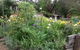 Mud Hollow Barn - thumb 15