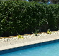 Robinvale Bridge Motel - Accommodation Gladstone