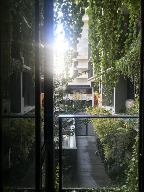 Rose Lane Serviced Apartment - Accommodation Gladstone 7