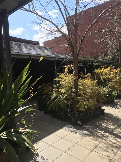 CROWN CENTRAL BUSINESS DISTRICT MOTEL - NO UNDER 18s - Accommodation Gladstone 15