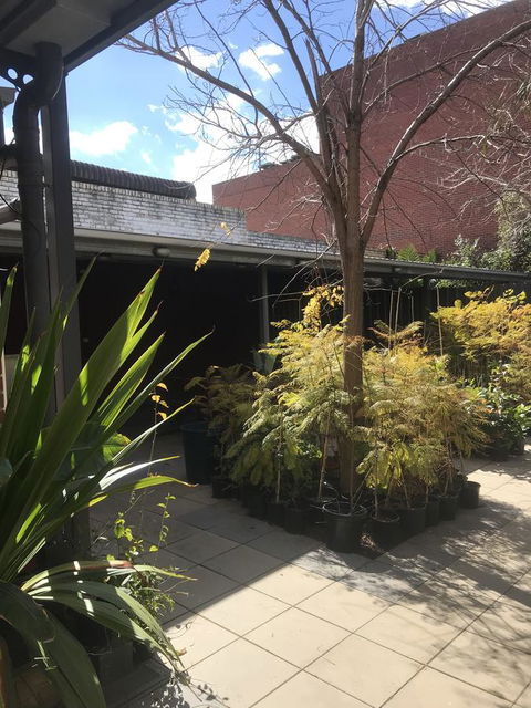 CROWN CENTRAL BUSINESS DISTRICT MOTEL - NO UNDER 18s - Accommodation Gladstone 21