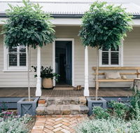 Acre of Roses - Accommodation Gladstone