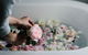 Acre Of Roses - thumb 7