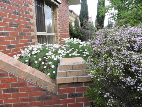 Monash And Chadstone WiFi - Accommodation Gladstone 3