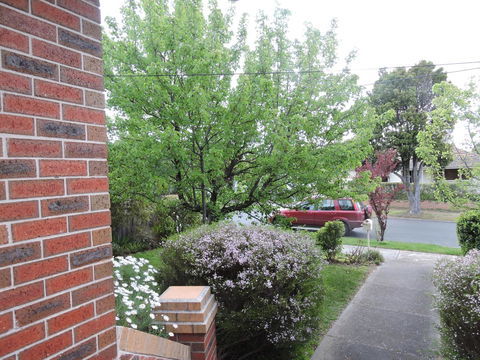 Monash And Chadstone WiFi - Accommodation Gladstone 2