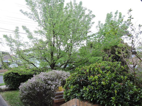 Monash And Chadstone WiFi - Accommodation Gladstone 4