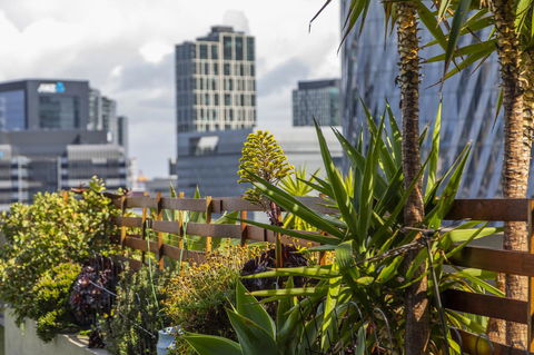 Signature Waterfront Apartments - Accommodation Gladstone 35
