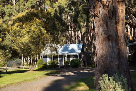 Bodhi Daylesford - Accommodation Gladstone 8