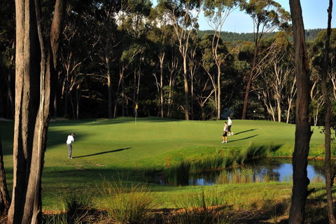 RACV Goldfields Resort - Accommodation Gladstone 12