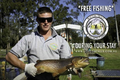 Lithgow Falls Marysville - Accommodation Gladstone 14