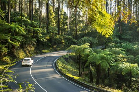 Lithgow Falls Marysville - Accommodation Gladstone 15