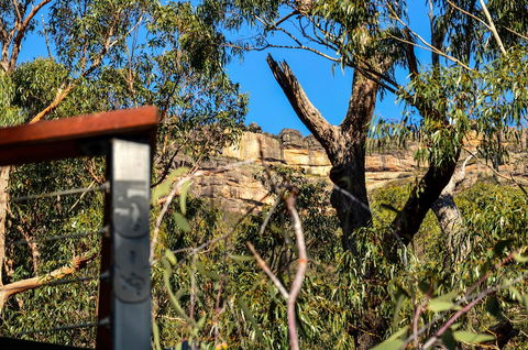 Blue Ridge Retreat - Accommodation Gladstone 14
