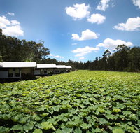 The Boathouses at Leaves  Fishes - Accommodation Gladstone