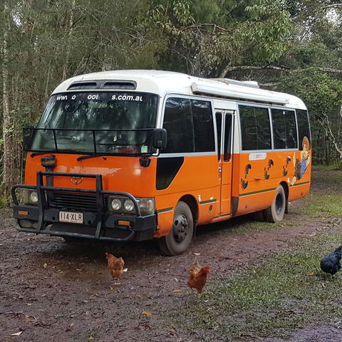 The Cabin - Accommodation Gladstone 3