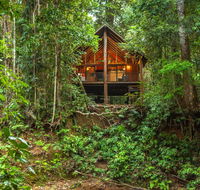 The Canopy Rainforest Treehouses  Wildlife Sanctuary - Accommodation Gladstone