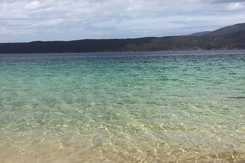 The Cove... On The Rocks At Port Arthur - Accommodation Gladstone 1