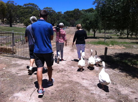 The Farm Willunga - Accommodation Gladstone 1