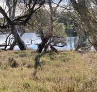 The Lake House - Accommodation Gladstone