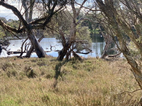 The Lake House - Accommodation Gladstone 0