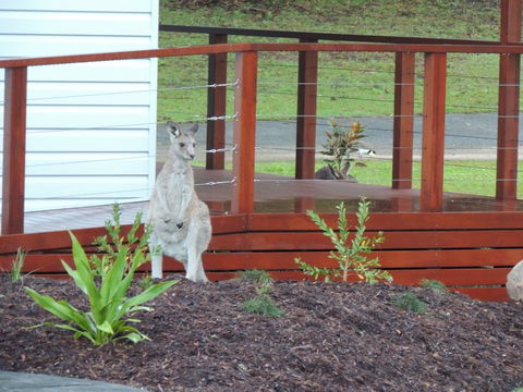The Pouch B & B - Accommodation Gladstone 1