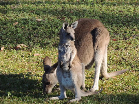 The Pouch B & B - Accommodation Gladstone 2