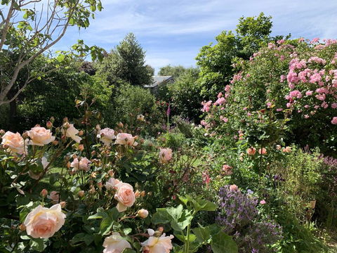 The Racecourse Inn - Accommodation Gladstone 2