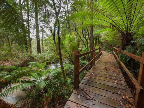 The Source, Otways - Accommodation Gladstone 0