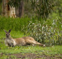 The Stirling Golf Club - Accommodation Gladstone