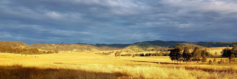 The Wattle Lodge - Accommodation Gladstone 1