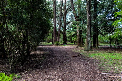 Tomah Retreat - Relax & Heal At UNWIND - Accommodation Gladstone 1