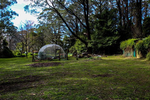 Tomah Retreat - Relax With Studio BREATHE - Accommodation Gladstone 1