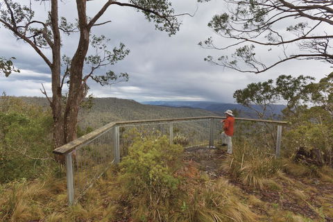 Toms Cabin - Accommodation Gladstone 2