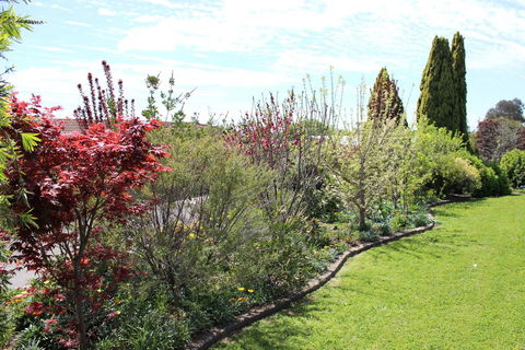 Top Of The Town Motel - Accommodation Gladstone 2