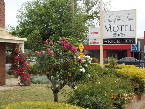 Top Of The Town Motel - Accommodation Gladstone 3