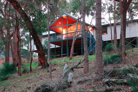 Treehouse - 3 Acre Elevated Nature Setting - Accommodation Gladstone 3
