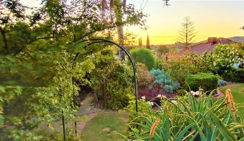 Treetops Escape - Accommodation Gladstone 1