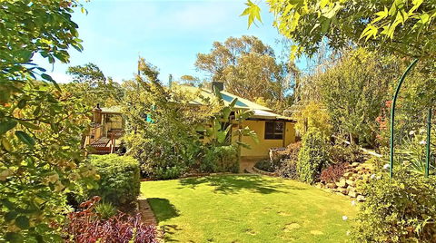 Treetops Escape - Accommodation Gladstone 2