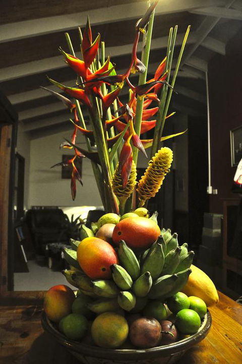 Tropical Bliss Bed And Breakfast - Accommodation Gladstone 3