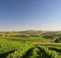 Turners Vineyard Motel - Accommodation Gladstone