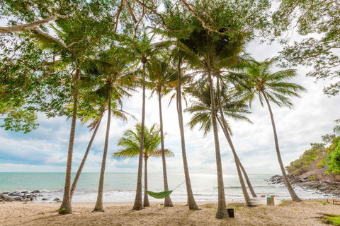 Turtle Cove Beach Resort - Adults Only LGBTQIA & Allies - Accommodation Gladstone 3