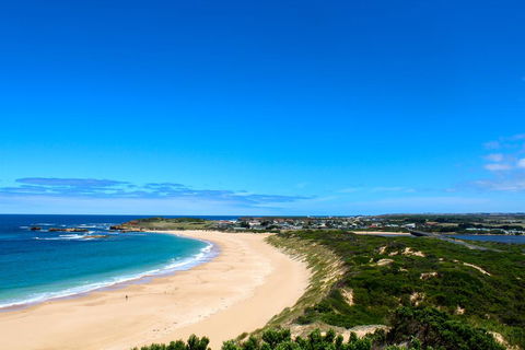 Twelve Apostles Beach House B&B - Accommodation Gladstone 1