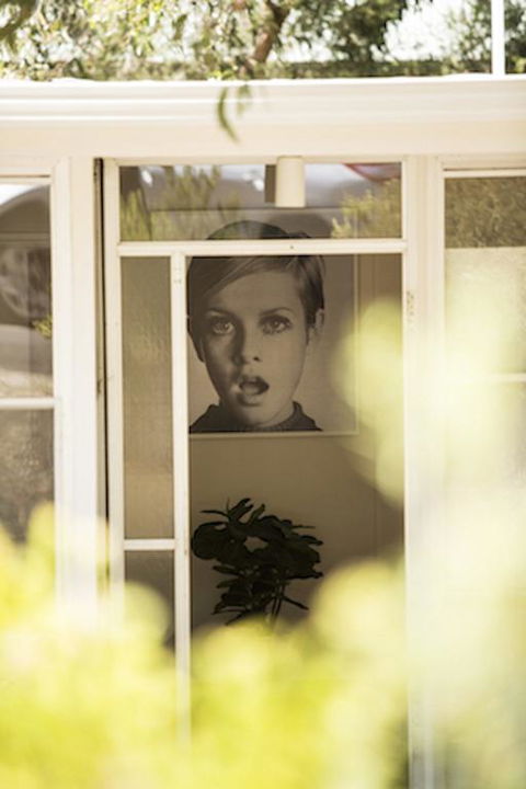Twiggy @ Anglesea - Accommodation Gladstone 3