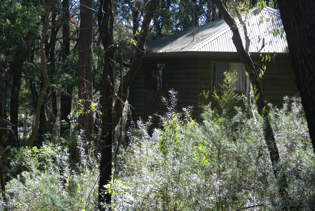 Fitzroy Falls NSW Accommodation Gladstone