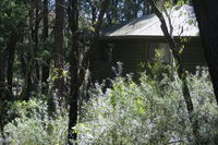 Book Fitzroy Falls Accommodation Vacations Accommodation Gladstone Accommodation Gladstone