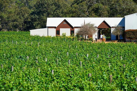 Upper Reach Spa Cottage - Accommodation Gladstone 0