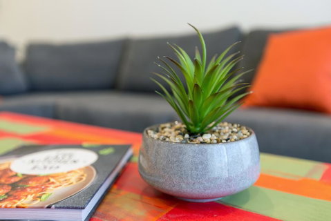 Urban Jungle! Executive Apartment In Heart Of CBD - Accommodation Gladstone 1