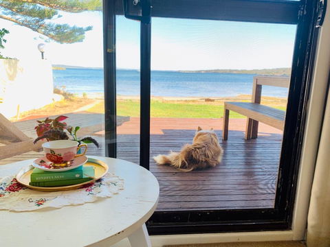 Vandy's Shack At Mount Dutton Bay - Ideal For Couples And Small Families - Accommodation Gladstone 3