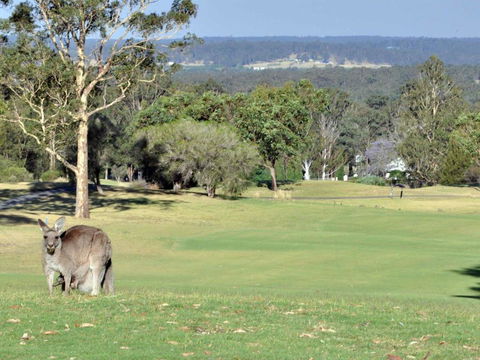 Villa 3br Beaujolais Luxe + Style Resort Condo Located Within Cypress Lakes Resort (nothing Is More Central) - Accommodation Gladstone 1