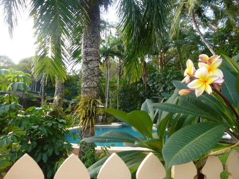 Villa Marine Holiday Apartments Cairns - Accommodation Gladstone 1